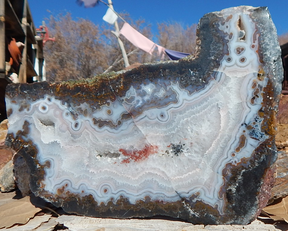Deming New Mexico Agate Agate Slab