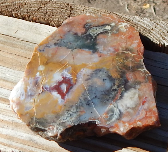 Utah Coprolite