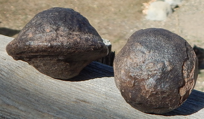 Moqui Marbles Iron concretions