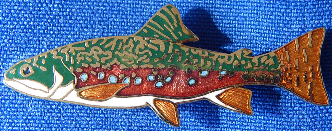 Wm Spears trout pin