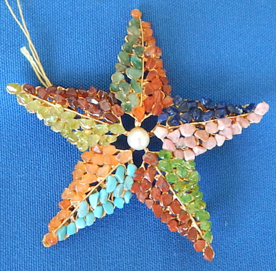 Swoboda Starfish pin