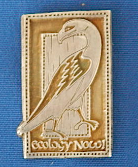 Ecology Now eagle pin