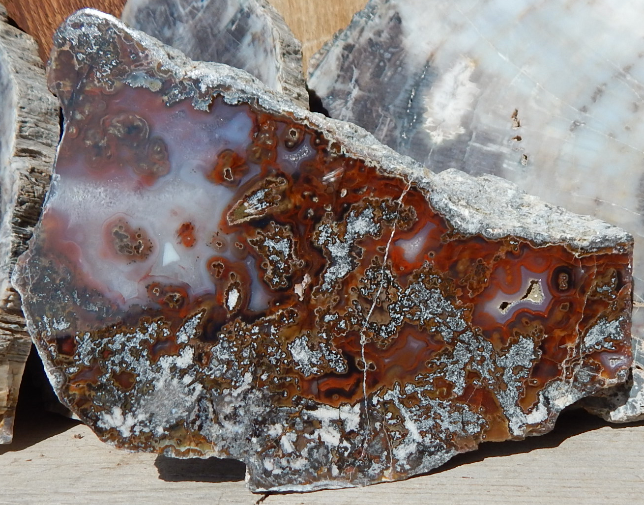 Deming New Mexico Agate