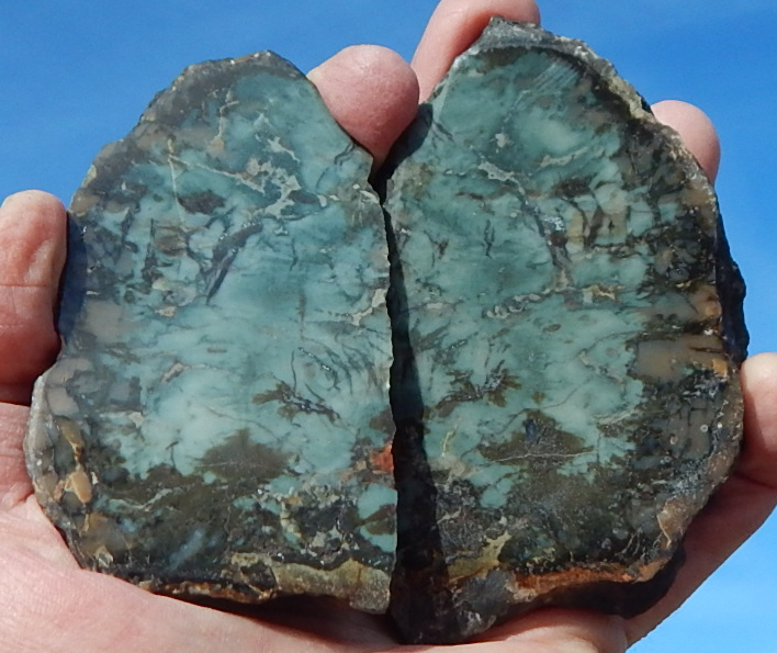 Utah Gem Coprolite matching pair slabs